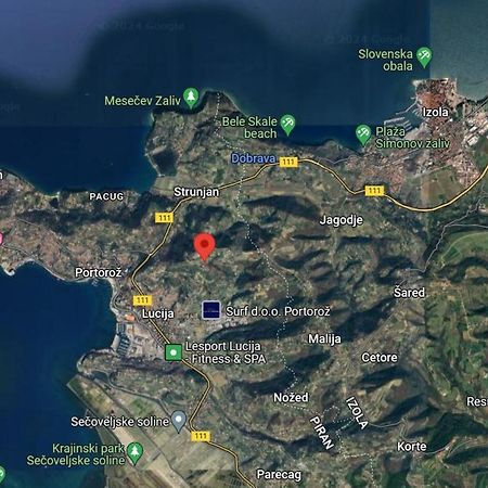 Apartma Ester Lucija Kültér fotó